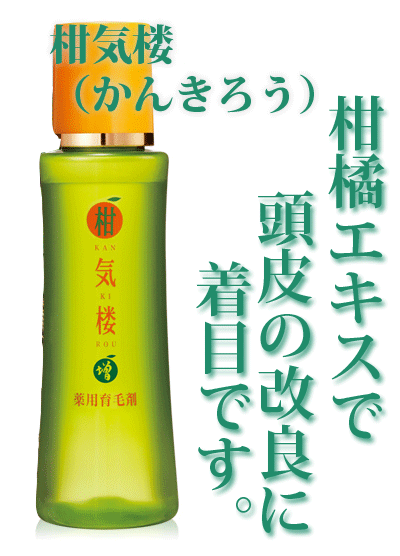 お試し.png